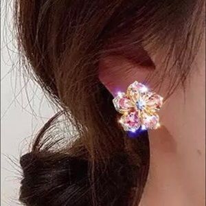 Glam fashion earrings